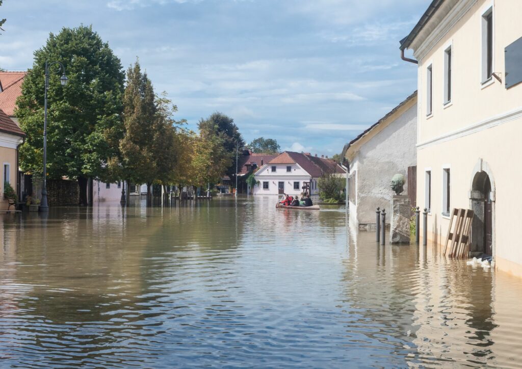 Onderneming Reflexen om over te nemen België